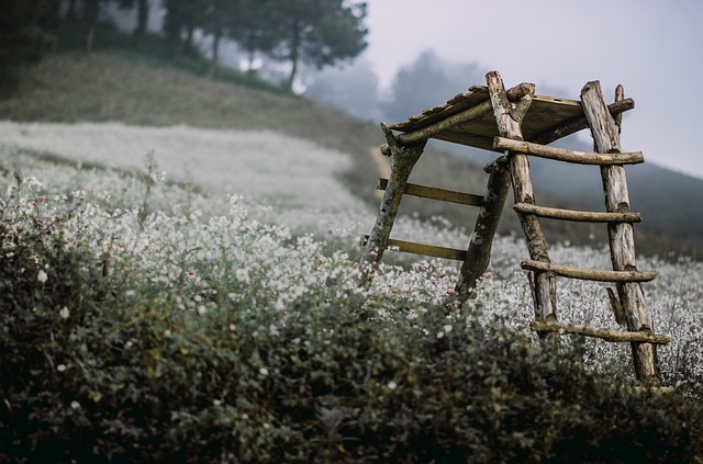 Reformer
